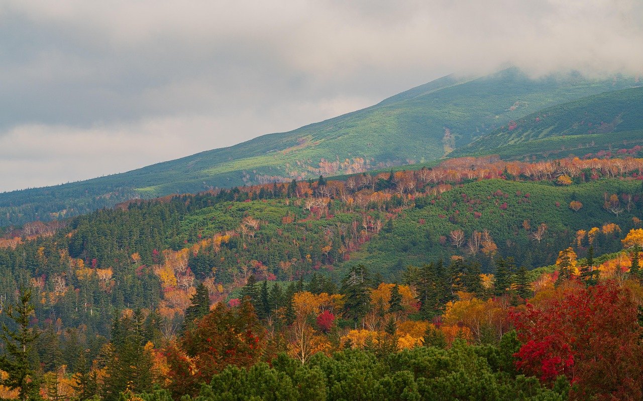 Hokkaido Tour - Self-Drive Adventure Northern Japan