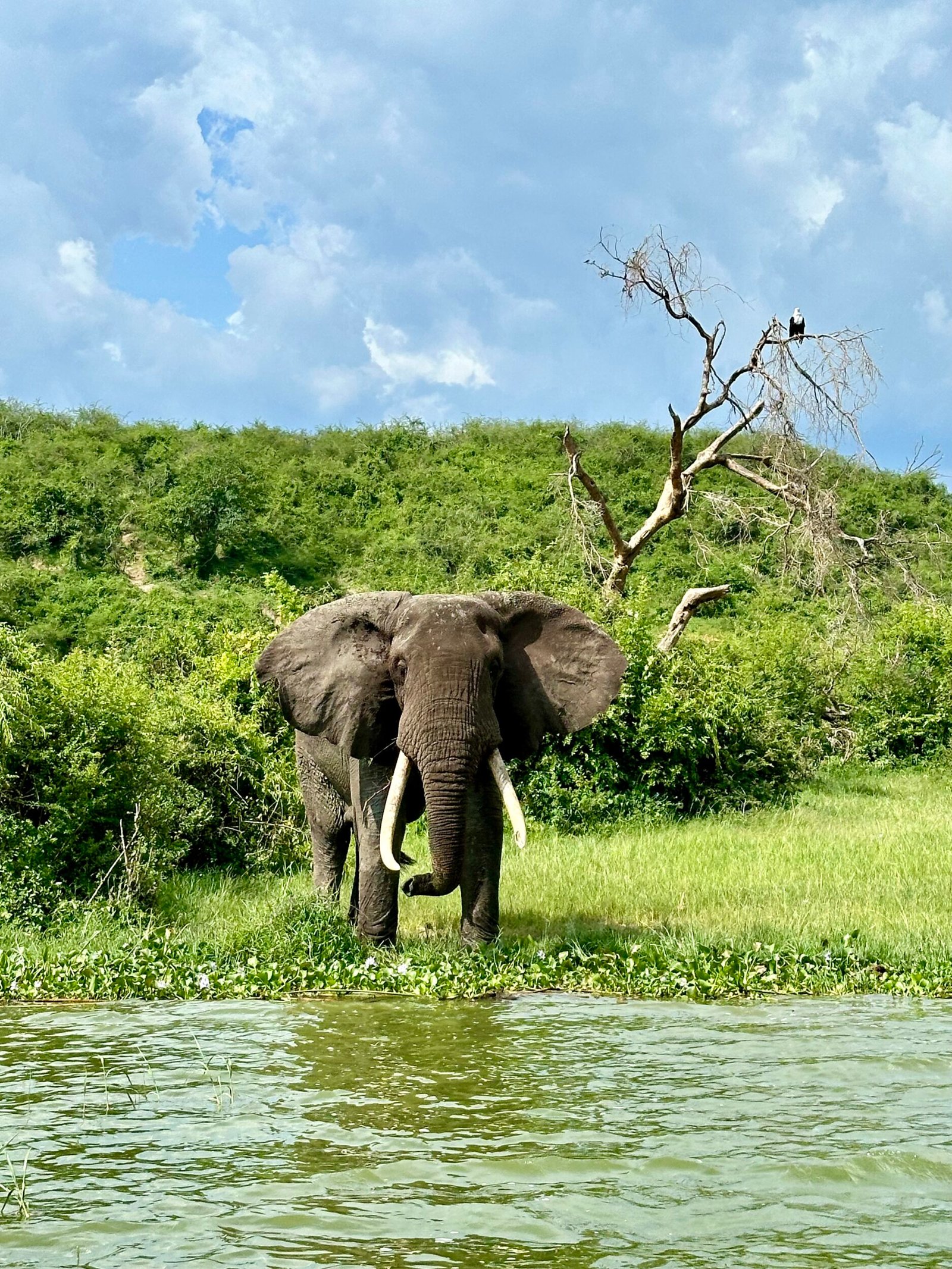 Kazinga Channel - Uganda Tour - Small Group with the Worldly Girlies