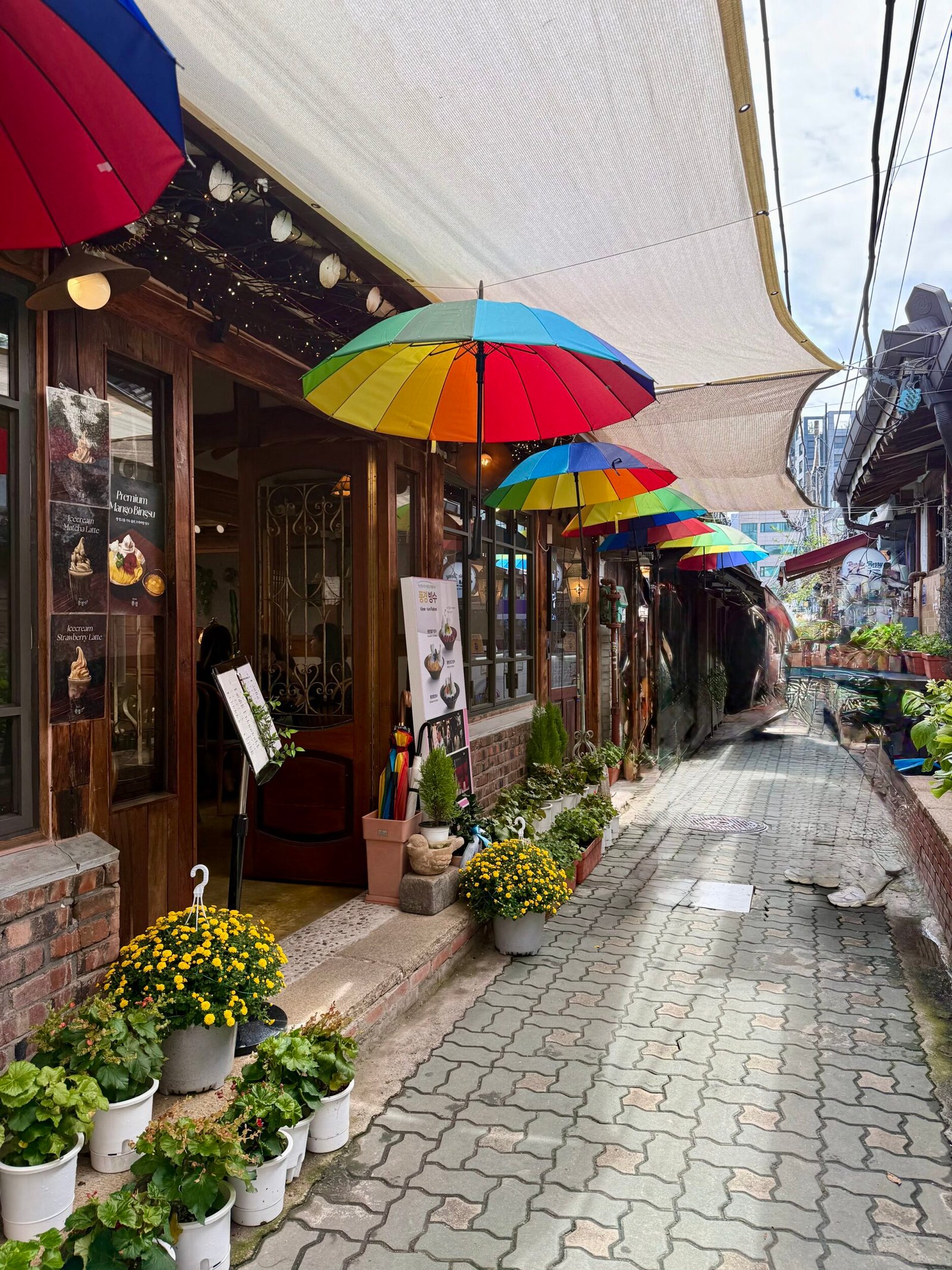 South Korea with Keri & Nicola - Korea Tour