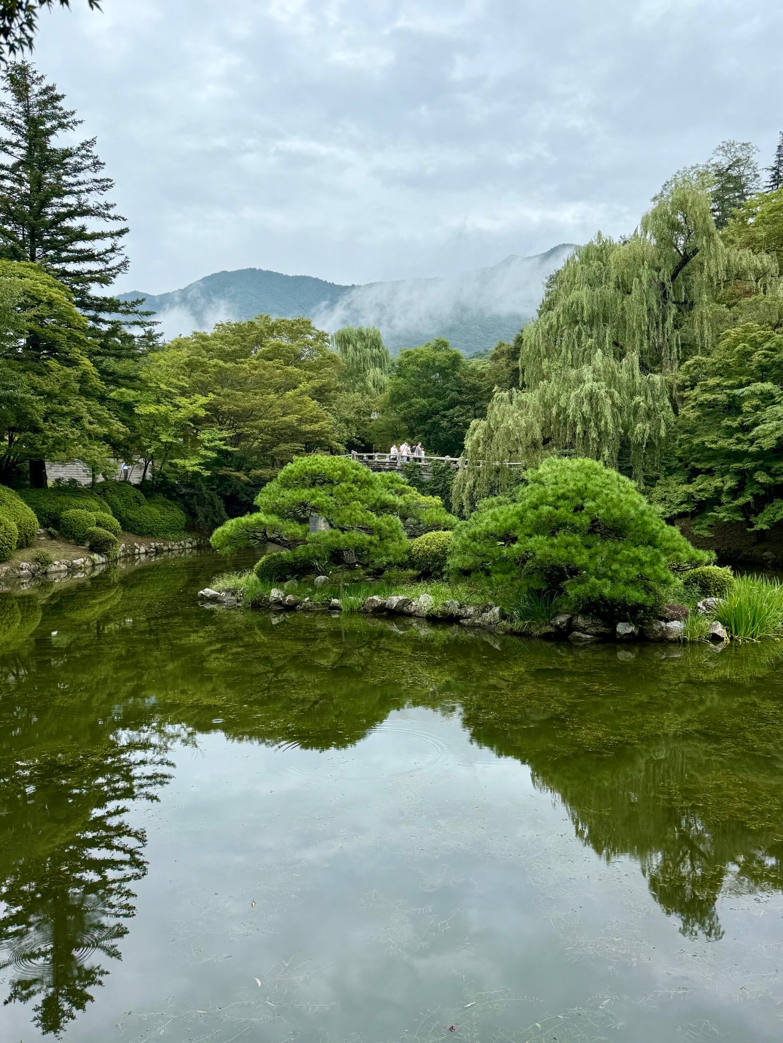 Small group Korea Tour